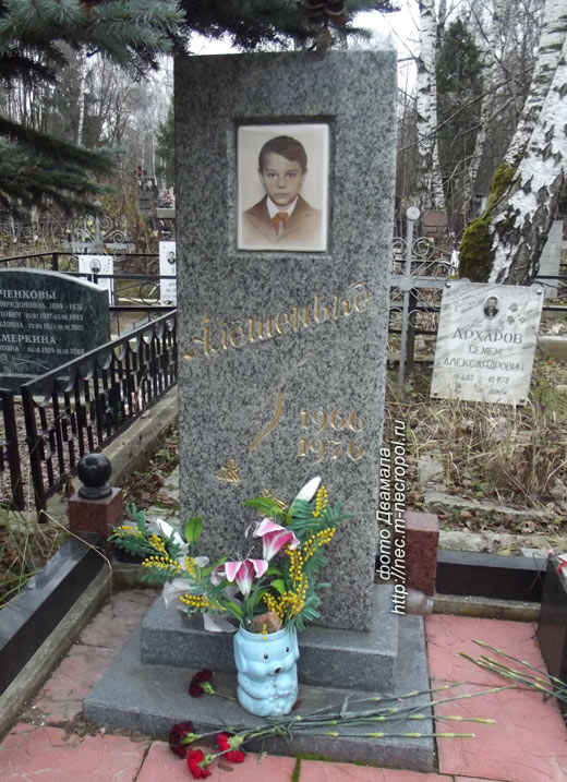 ���� �., 2013 �.