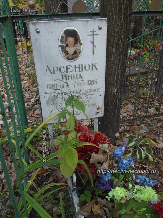 ���� �., 2014