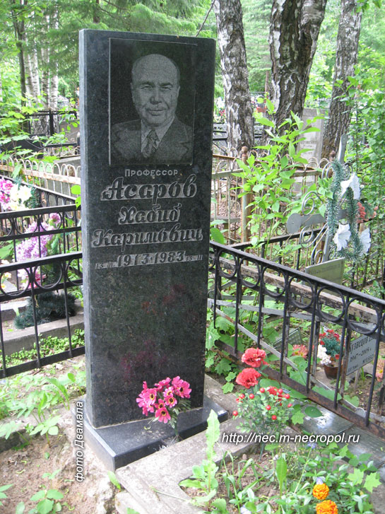 ���� �������, 2011 �. 