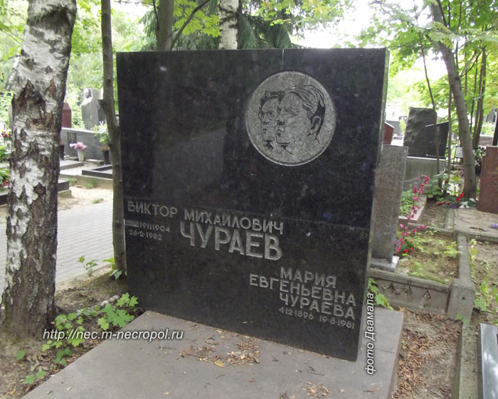 ���� �������, 2013 �.