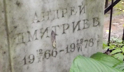 ���� �., 2015