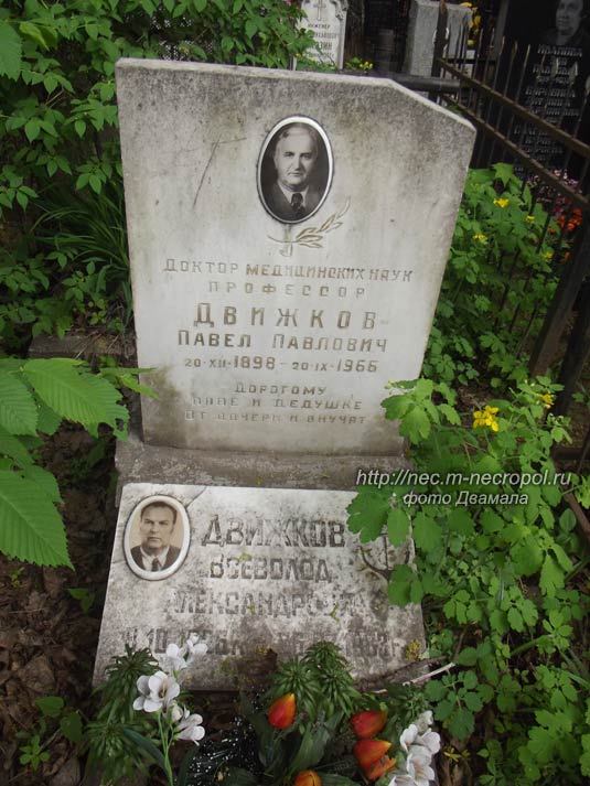 ���� �., 2014