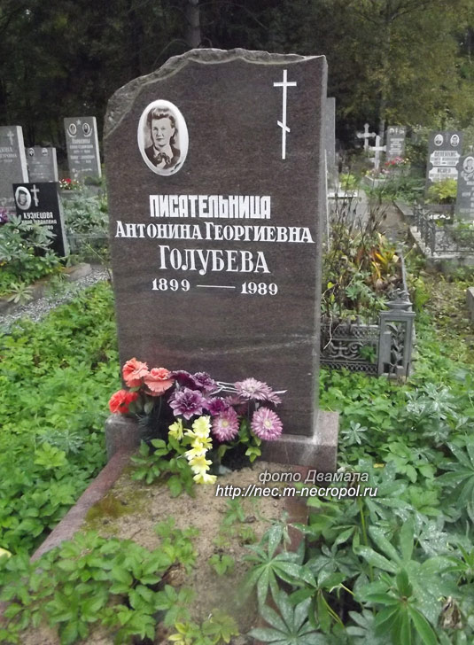 ���� �������, 2015 �.