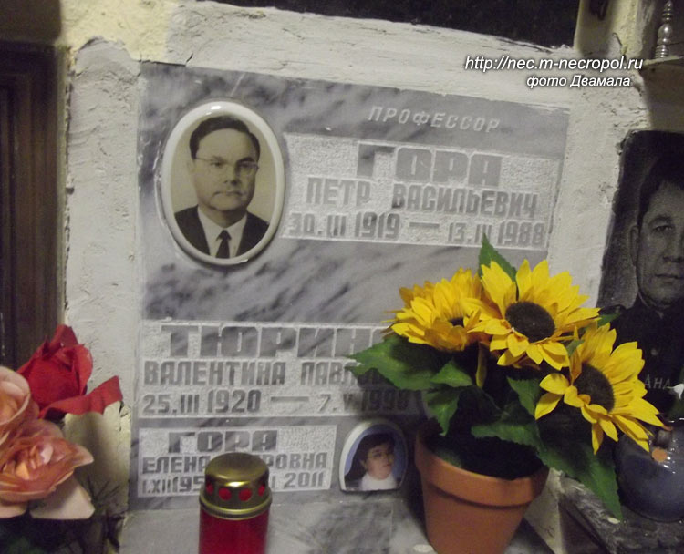 ���� �., 2013