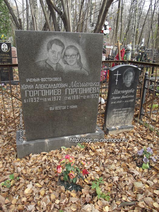 ���� �.,  2013 �.
