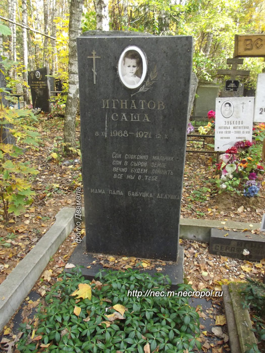 ���� �., 2012 �.