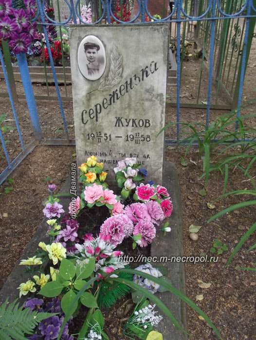 ���� �., 2012