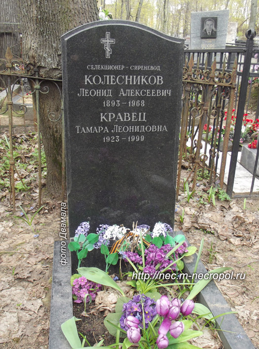 ���� �., 2013 �.