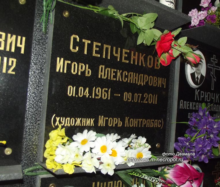 ���� �������, 2009 �.