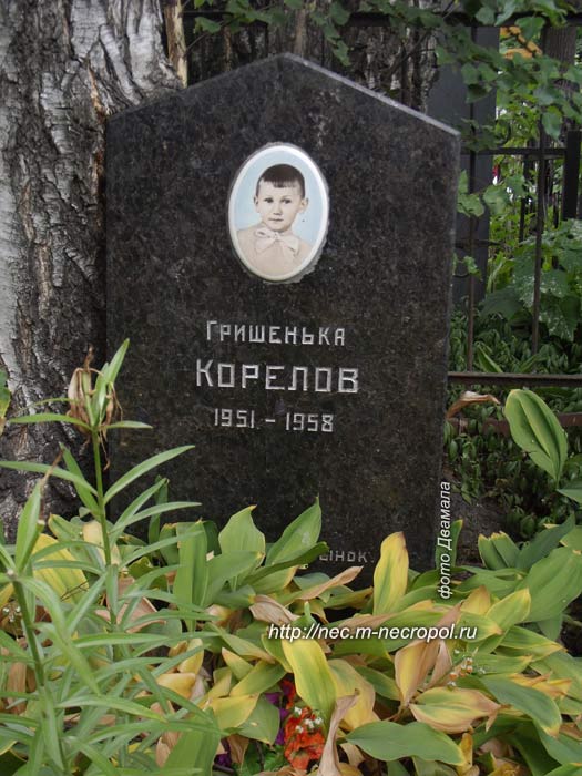 ���� �., 2014
