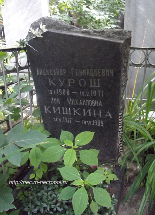 ���� �., 2013 �.