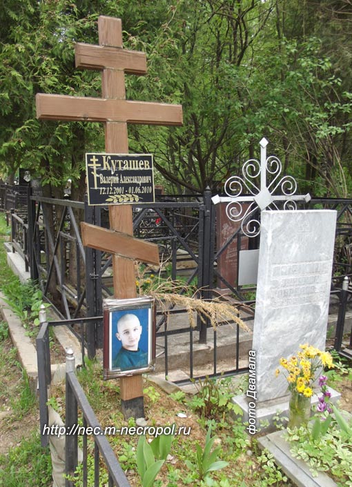 ���� �., 2013 �.