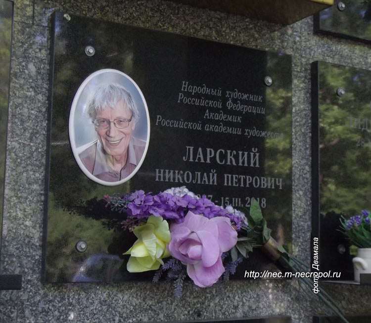 ���� �������, 2009 �.