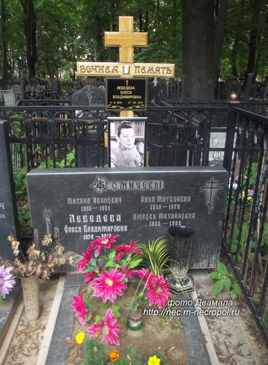  ���� �������, 2015 �.