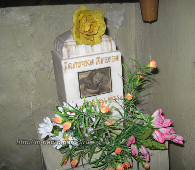 ���� �.