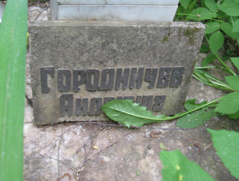 ���� �., 2011
