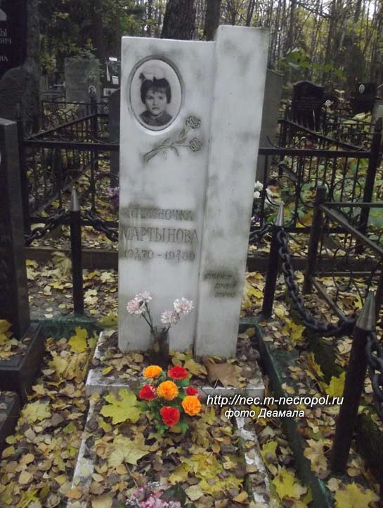 ���� �., 2017 �.