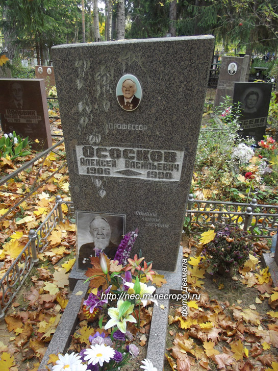 ���� �������, 2014 �.