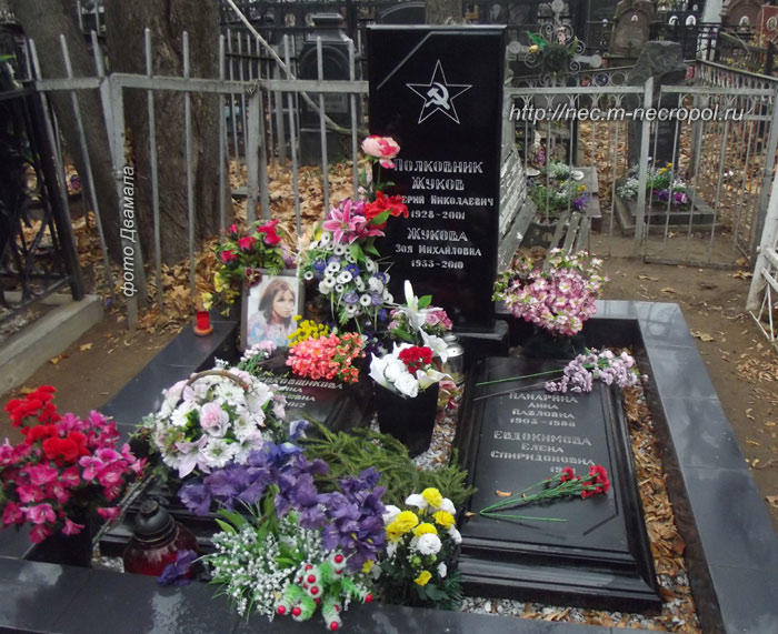 ���� �������  1.11. 2014 �.