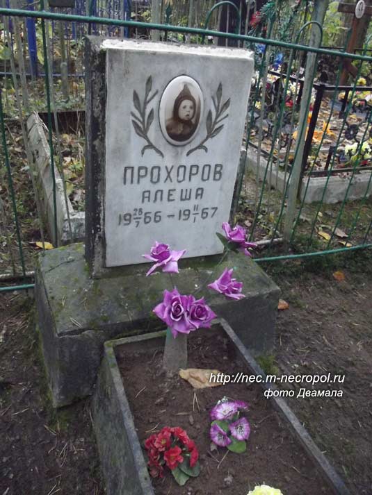 ���� �., 2015
