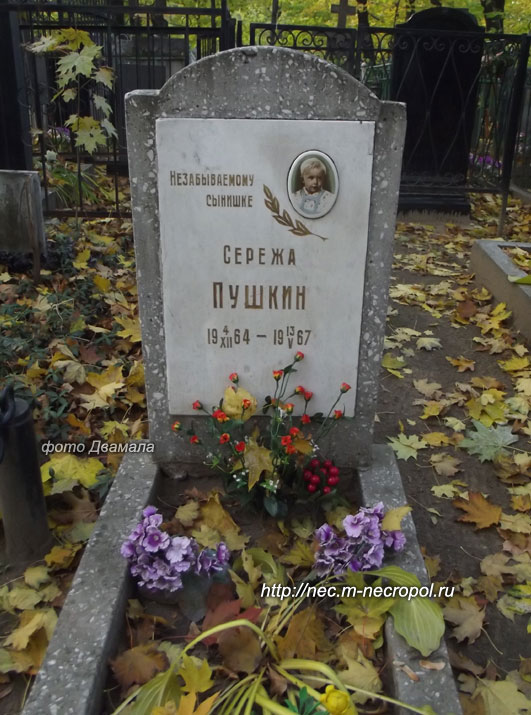 ���� �., 2015