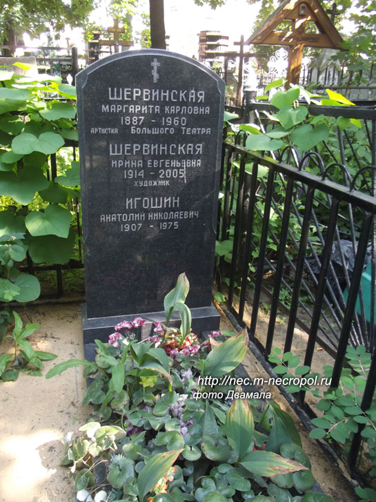 ���� �������, 2009 �.
