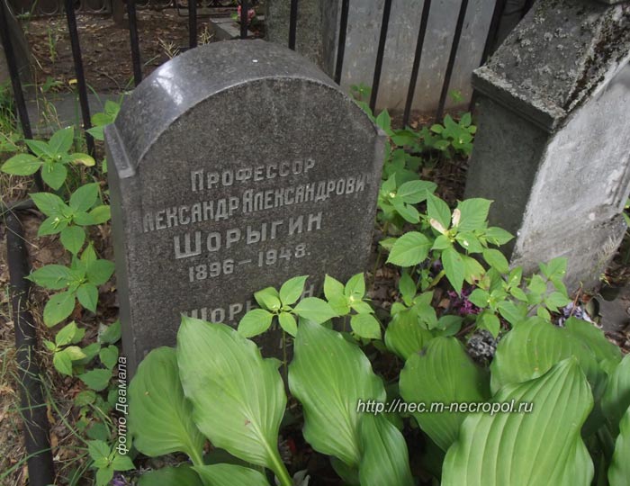 ���� �., ���. 2013 �.