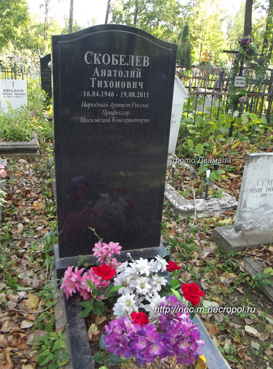 ���� �������, 2015 �.
