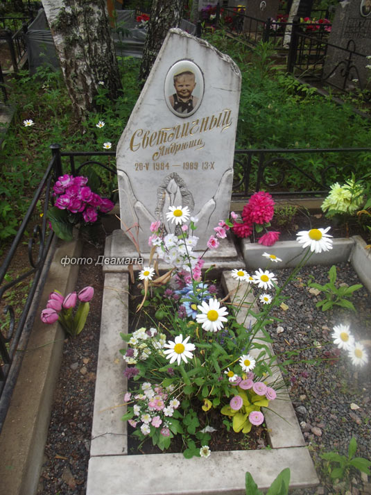 ���� �., 2015 �.