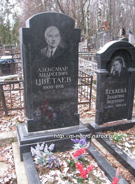 ������ �.�. ��������, ���� �������, 2010 �.