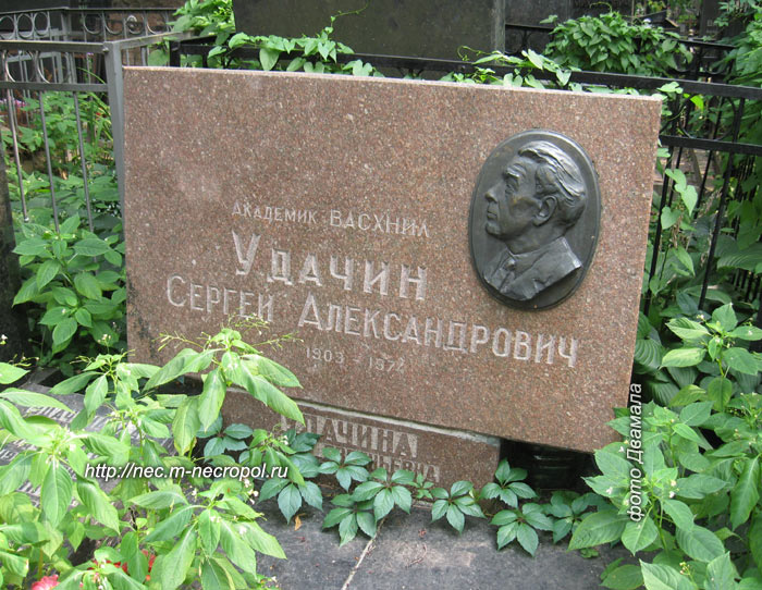 ���� �., 2010 �.
