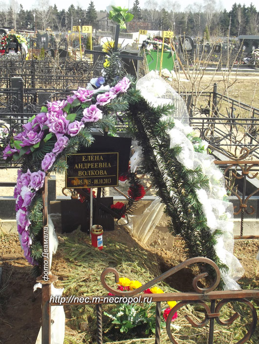 ���� �, 2014 �.