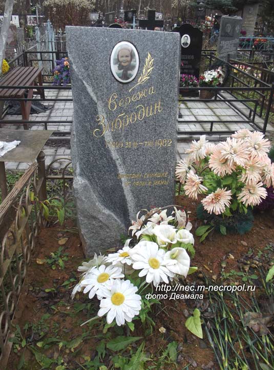 ���� �., 2015