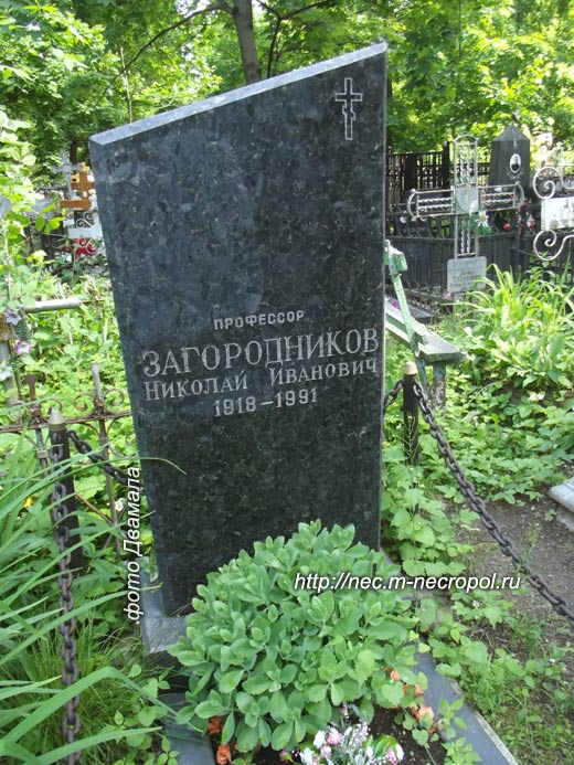 ����� ���� �., 2013 �.