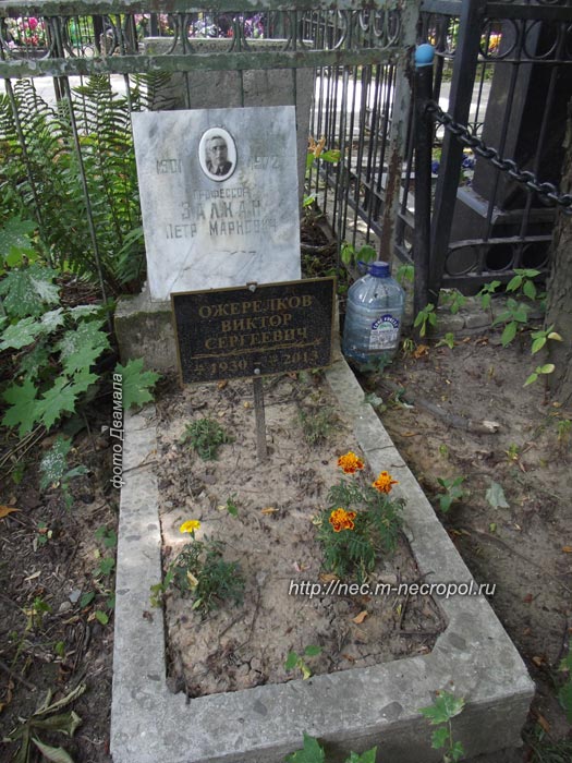 ���� �., 2014 �.